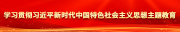 操逼开个视频学习贯彻习近平新时代中国特色社会主义思想主题教育